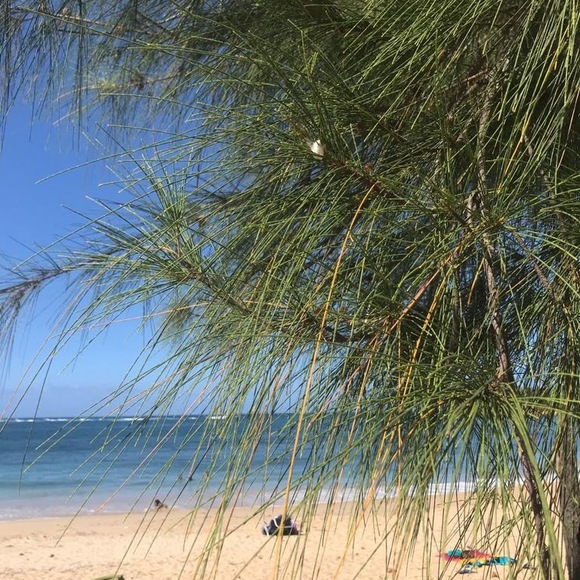 Meet your Posher, Kathy - Picture 1 of 1